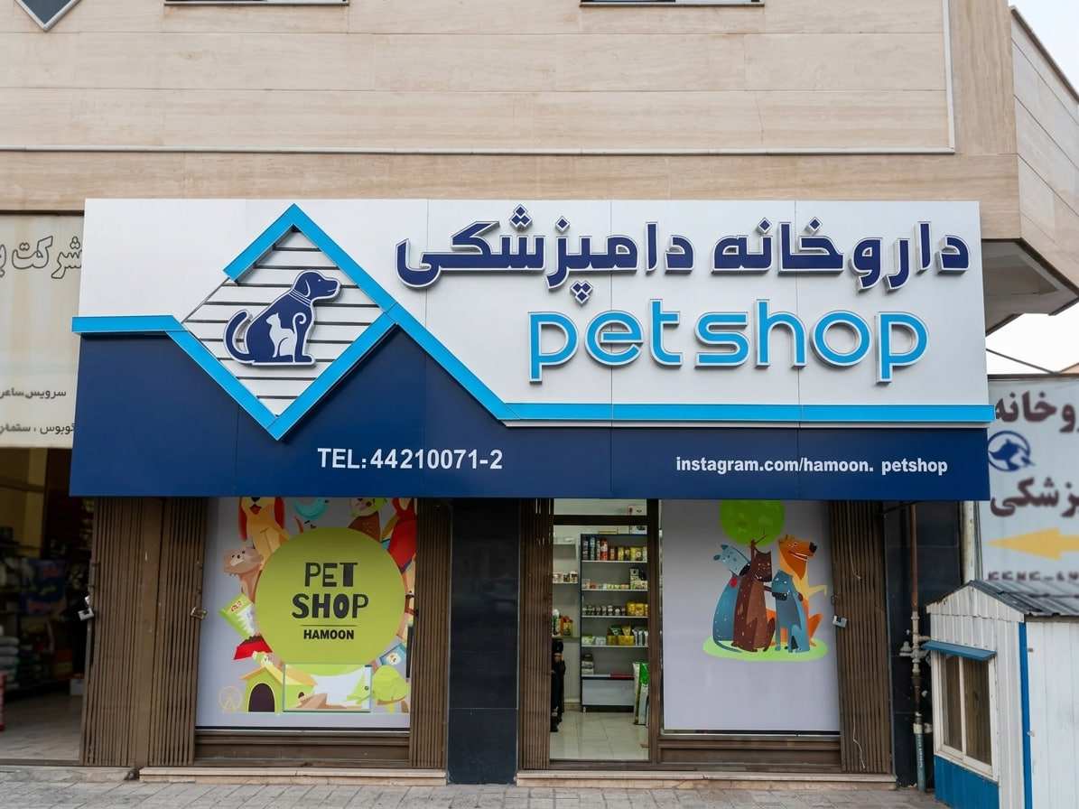 نمونه کار چلنیوم 22